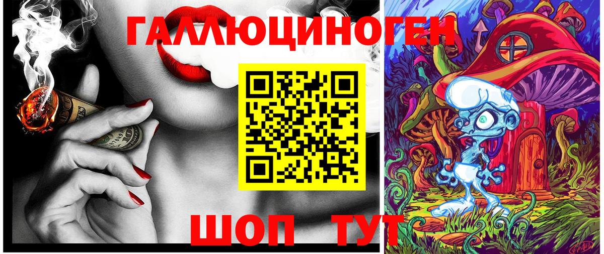 Чистополь  наркота  Вход с VPN  Псилоцибиновые грибы GOLDEN TEACHER 